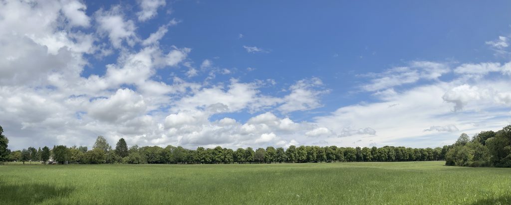 Modellbahn Hintergrund Wiese Baumreihe kostenlos downloaden