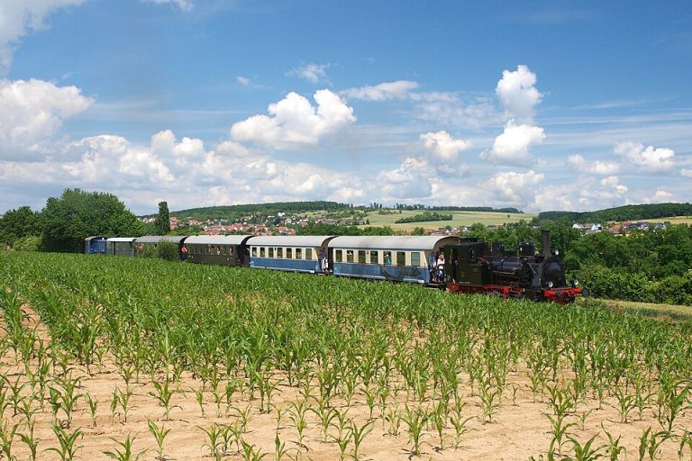 Eisenbahnfreunde Wetterau Museumszug Loks 1 und 2 768x512