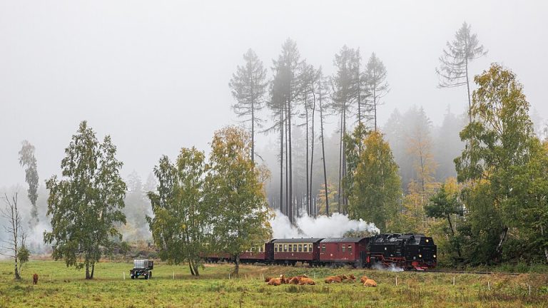 Selketalbahn 50790925407 768x432