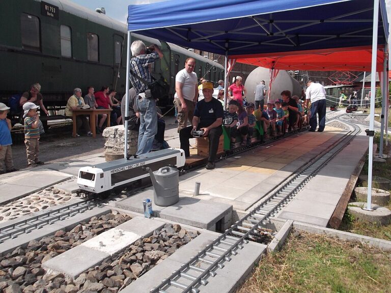 Sommerfest 2013 Mitfahreisenbahn Koblenz 768x576