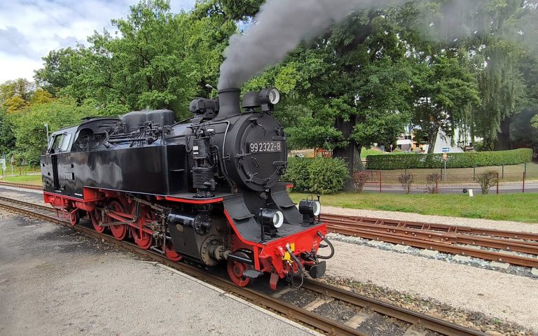 molly 768x480