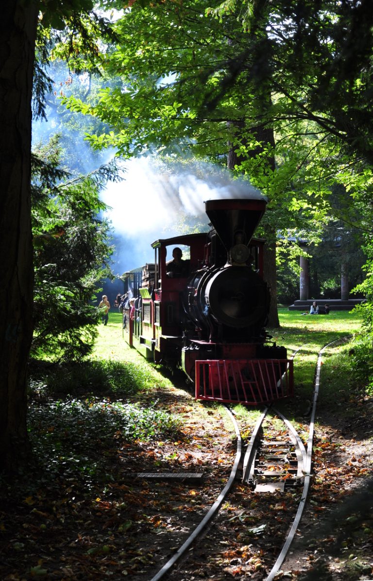 schlossgartenbahn dampflok 768x1194